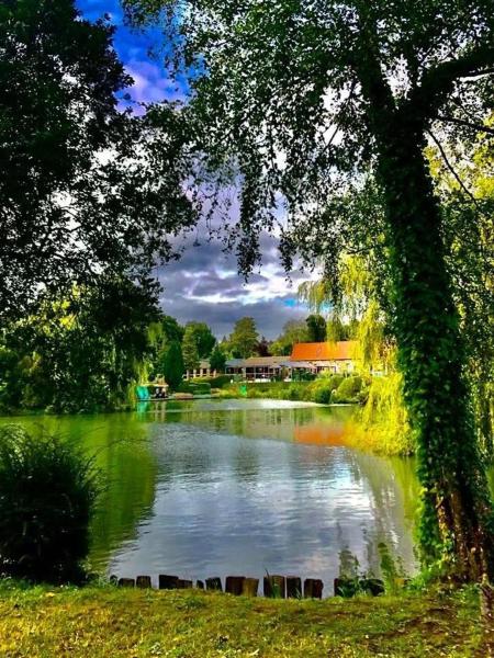 Camping 4 étoiles - Piscine - ccafgee