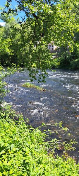 Camping de la mothe