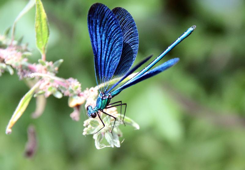 Camping Domaine Sainte Madeleine