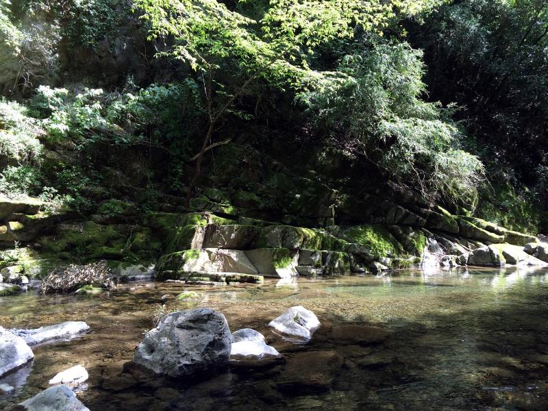 Camping Domaine Sainte Madeleine