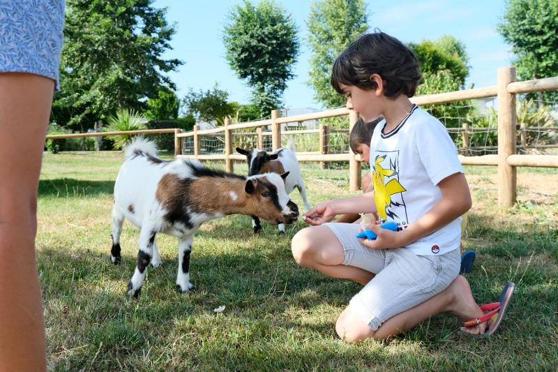 Camping Haliotis
