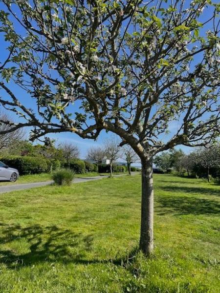 Camping les vergers de Squividan ***