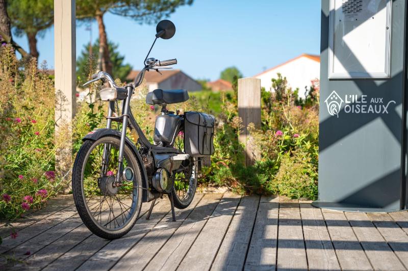Camping l'Ile aux Oiseaux