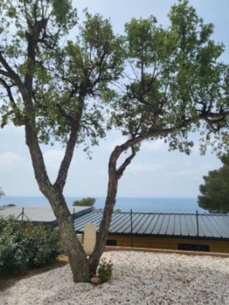 Camping L'ILE D'OR