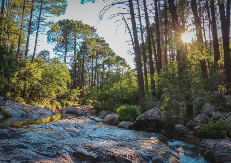 Camping Mulinacciu