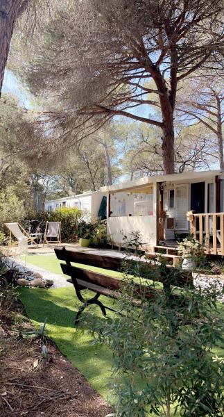 Camping Oasis village