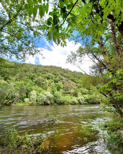 Camping Pittoresque