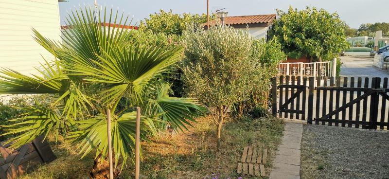 Chalet en bois "Le Libellule"