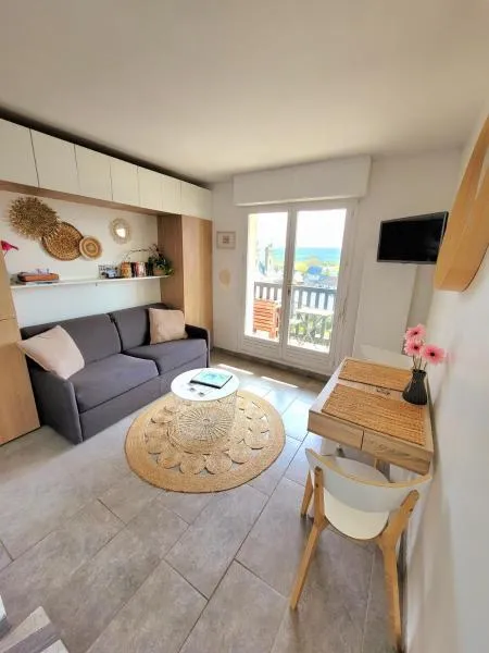 M2M Studio magnifique vue mer - avec balcon - les pieds dans l eau!