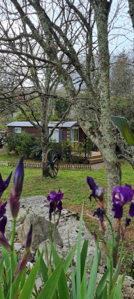 Les Chalets de Labeaume