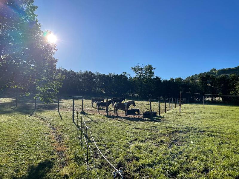 lodge camping le Plo AVEYRON