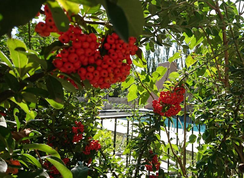 Lodges & Nature - 47