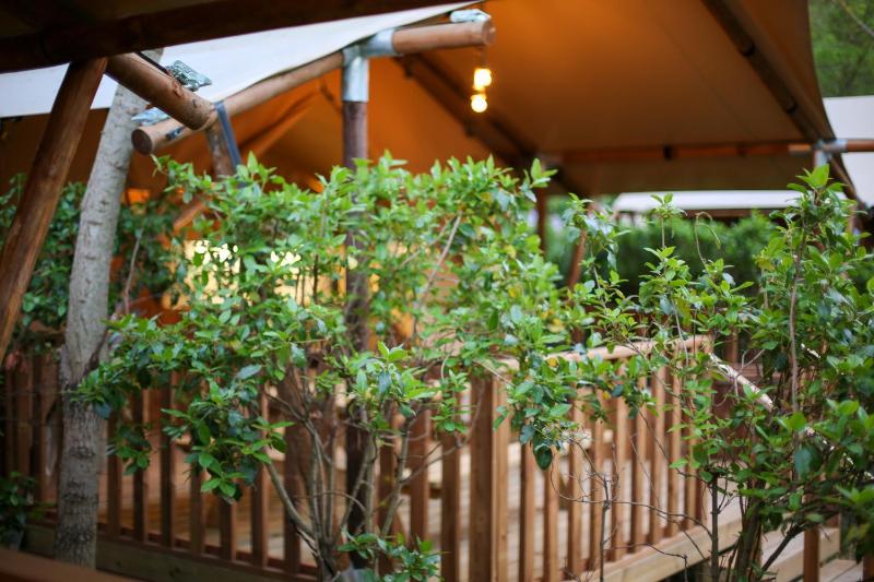 Lodges & Nature - 49