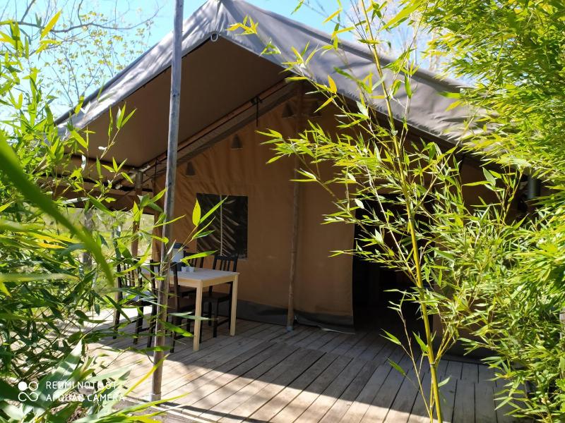 Ludocamping