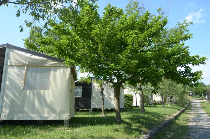 Ludocamping
