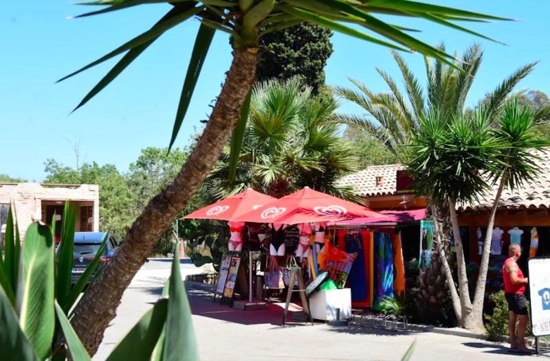 Mobil-home neuf 6 à 8 pers au Camping Les Palmiers, Hyères