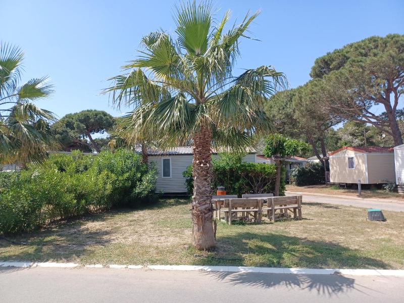 Mobil-Home pour 6 personnes (3 chambres)