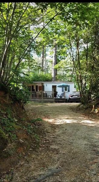 Tiny Sweet Home