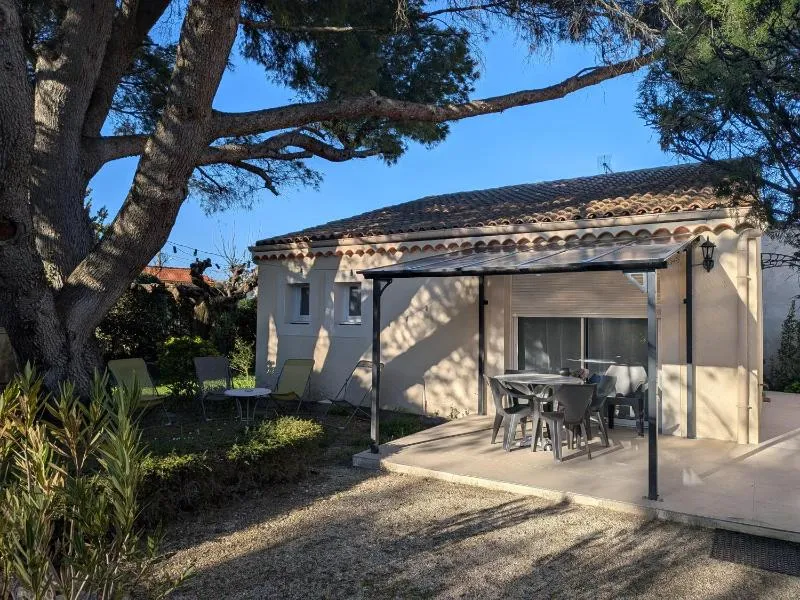 À l'ombre du pin