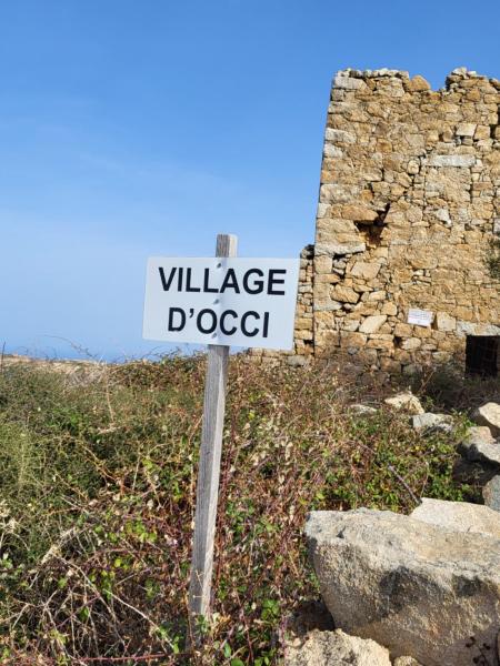 Piana