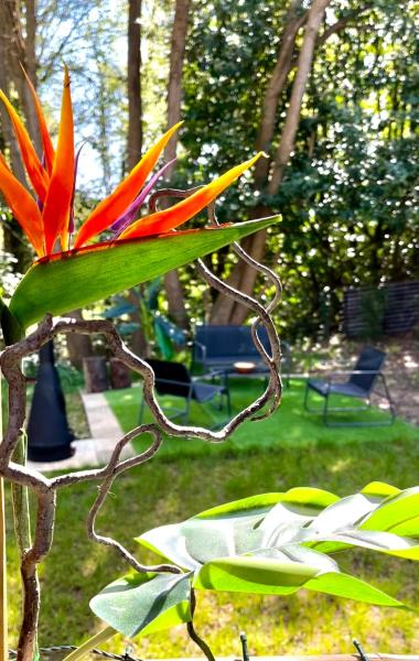Tiki House M-Home-Climatisé - Belle parcelle !