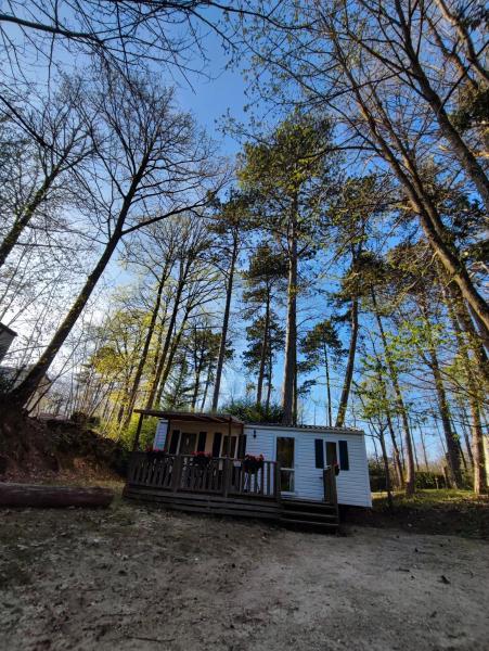 Tiny Sweet Home