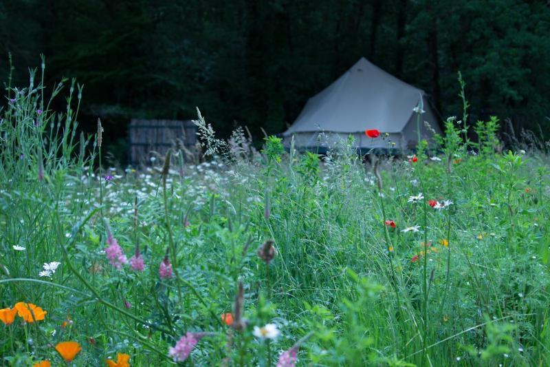 Belair le Camping