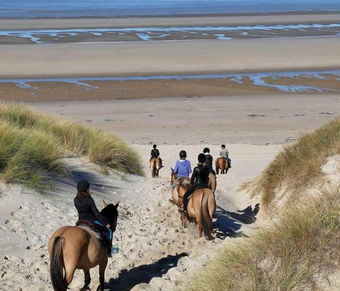 Camping la dune blanche