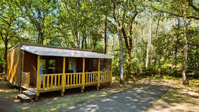 Camping L'Etang D'Ardy ***