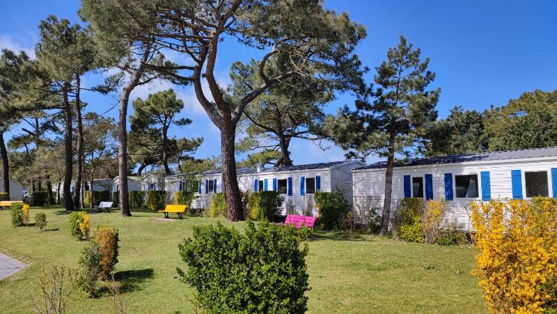Camping Paradis Les Galets de la Molliere