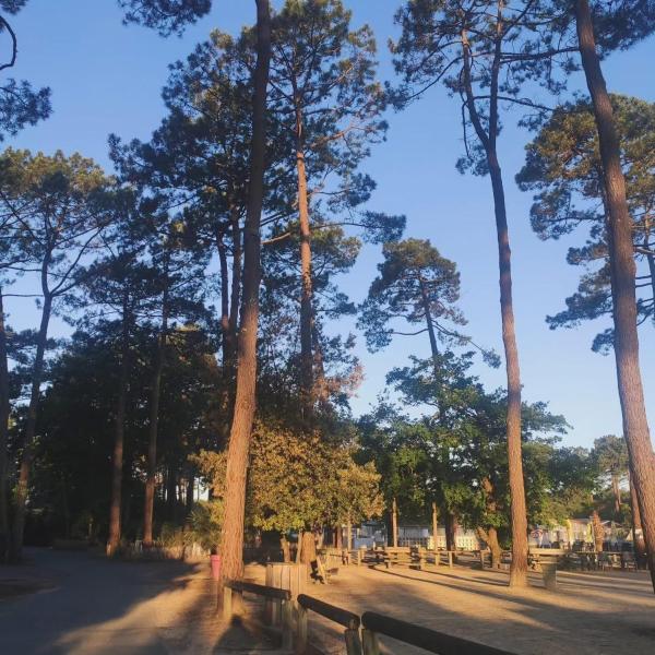 CAP FERRET L'escale Mobil-home 6 à 8 personnes