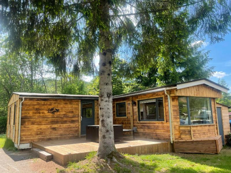 Chalet 9 personnes, piscine, terrasse