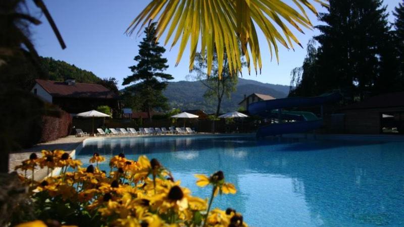Chalet 9 personnes, piscine, terrasse