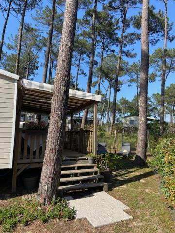 Charmant Mobilhome avec espace vert au milieu des pins proche de la plage sur le camping "les dunes de contis"