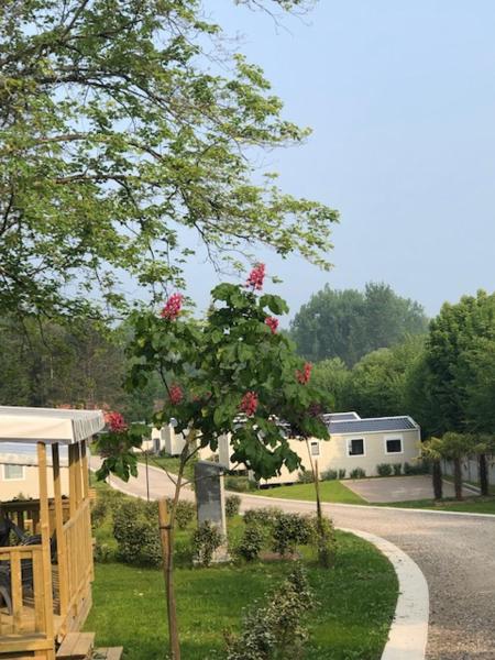 Domaine du Blanc Pignon