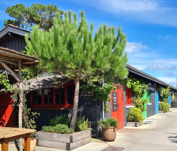 Joli Bungalow Cap Ferret Camping les Viviers