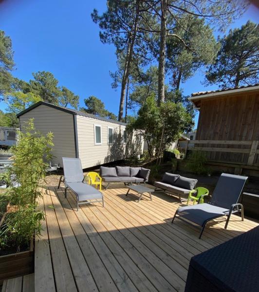 La cabane des pins