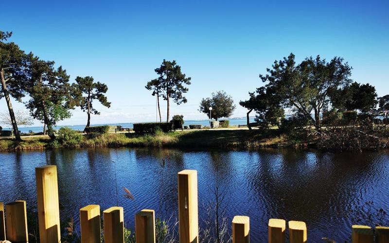 Le Bungalow du Ferret - Mobil Home Premium avec vue bassin d'Arcachon