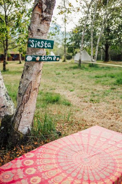 Le repère du pin sec - Glamping & Surfcamp