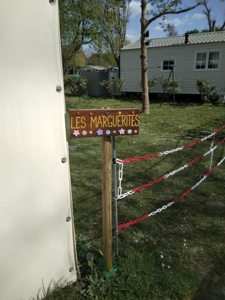 les marguerites