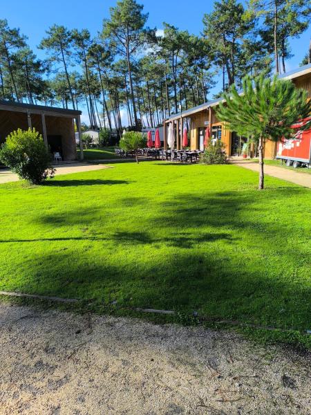 MH 201 AGREABLE et tout confort 2CH et 2sdb avec vue sur foret dans camping 4 étoiles