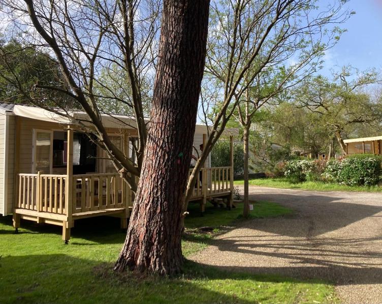 Mobil-home 5 pers climatisé - Plage et forêt - Camping Les Oyats Seignosse