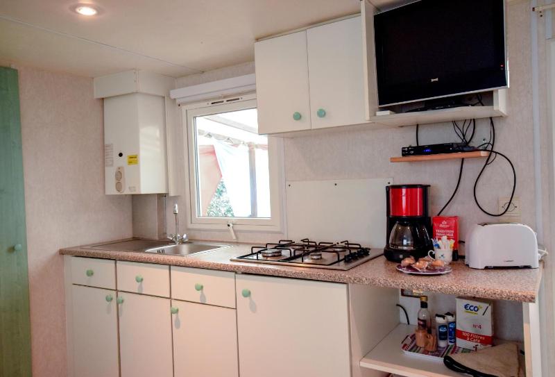 Mobil-home climatisé, camping 3étoiles, 5 min du Lac et à 15 min de Mimizan-Plage
