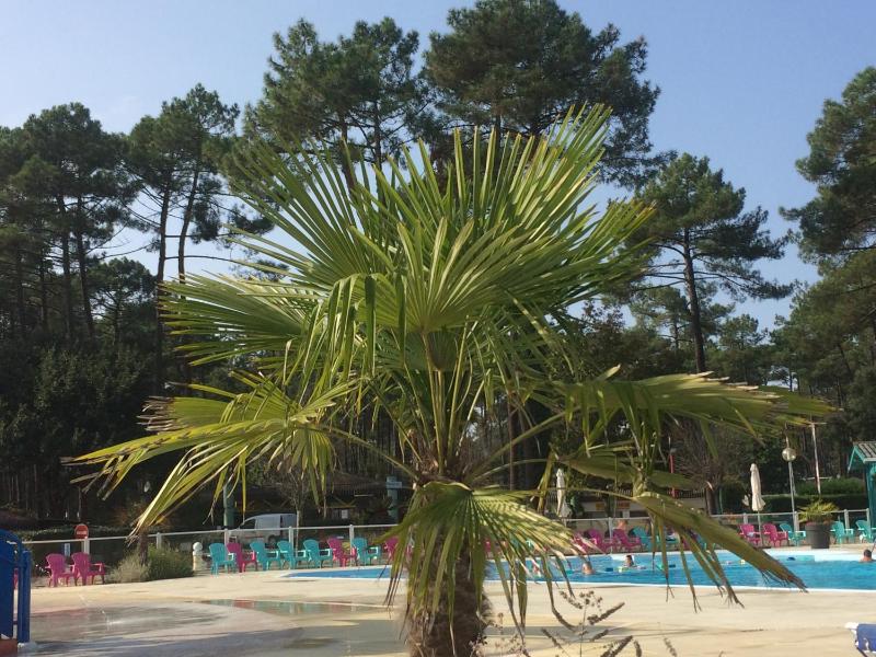 Mobilhome Landes Les Dunes de Contis