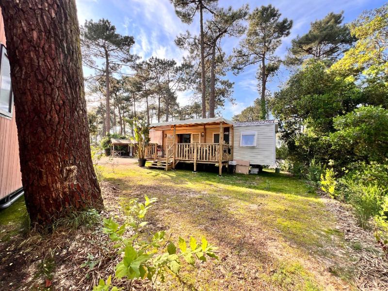 Un toit sur le bassin bungalow