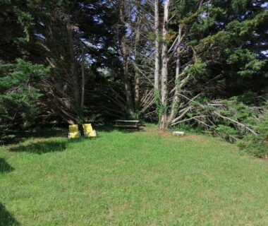 Pelouse ombragée avec transats et banc au camping A l'abri des cyprès