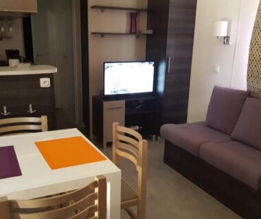 Salon avec canapé table et télévision dans l'Agréable Mobilhome 6 - 8 places