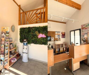 Accueil intérieur avec comptoir présentoir de brochures et mur végétal à l'Aloha Camping Club