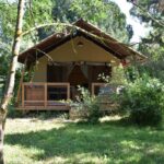 Tente lodge sur terrasse dans la pinède au camping Analaya