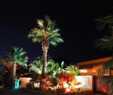 Allée de palmiers illuminés la nuit au camping Argeles Mobil'holidays del mar camping 222